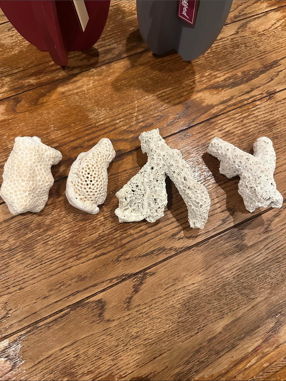 Home Accents Natural White Decorative Coral Set - Unbranded